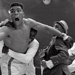 Meet your Posher, Jeffrey